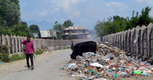 Lack of dumping facility poses health risk in Sopore