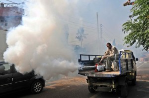11 persons test positive for dengue in J&K