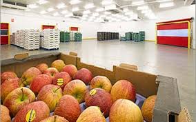 Govt forms panel to fix rates for cold storage of fruits