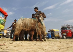 Markets abuzz with shoppers ahead of Eid-ul-Adha