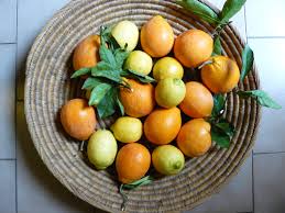 After oranges, Kashmirs now claim growing lemon