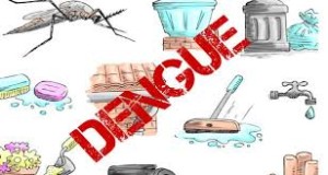Dry weather aids in spread of dengue