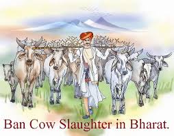 Hindu religious groups take out rally against cow-slaughter