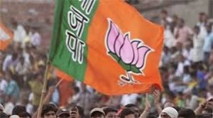 BJP cadre pulls out all stops
