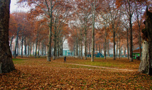 Naseem Bagh a favourite haunt of autumn lovers