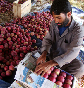 Valley apples everywhere but brand Kashmir nowhere in sight