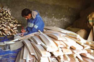 Kashmir bat industry dying a slow death