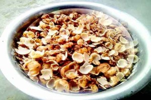 Seasonal mushroom Shajkun sells like hotcakes in north Kashmir