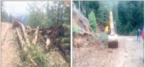 BRO vandalizes forests under garb of road widening in Bandipora