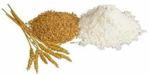 Cabinet okays supply of atta, wheat in 75 - 25 ratio