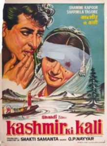 A ‘Kashmir Ki Kali’ poster wakes world to pellet blind spot