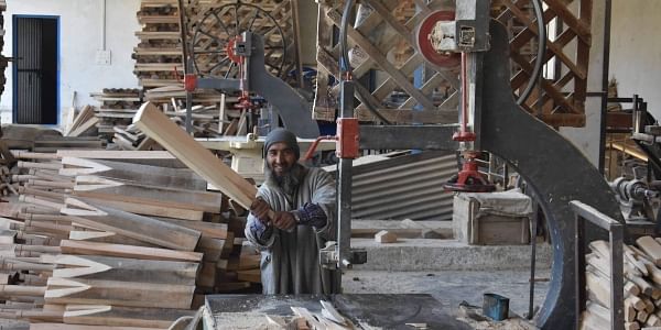 Why Kashmir's famed willow cricket bat industry is fighting for a big hit?