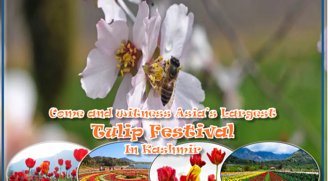 BadamWari - Tulip Festival - JKL Travels
