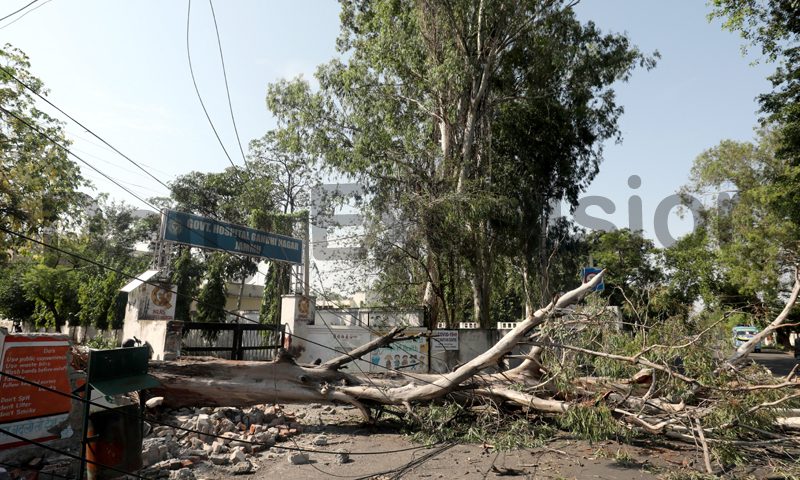 Heavy Rainfall and Windstorms Cause Casualties and Damage in Jammu