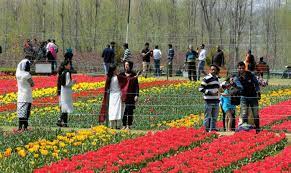 Showcasing GOI's normalcy canvas, now Kashmir is paying for hosting tourists