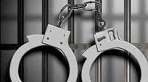 Man arrested for offending official - Locals