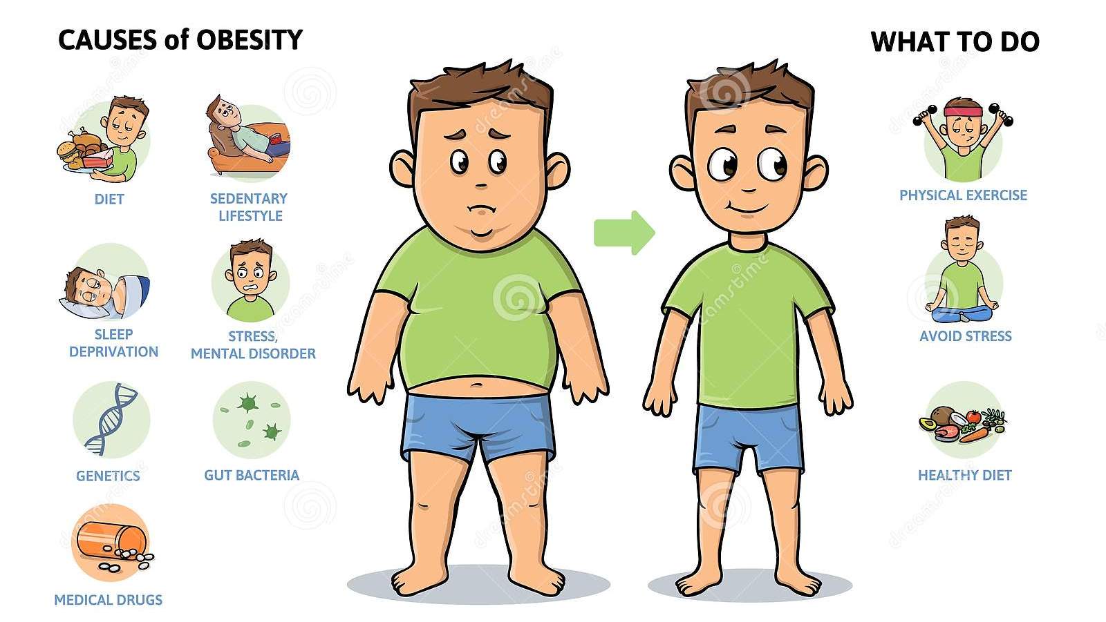 Obesity: Causes & Prevention