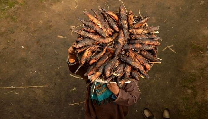 Pherr Or Smoked fish -Kashmir’s winter delicacy
