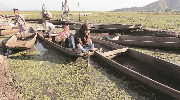 Shrinking Wular threatens local livelihoods