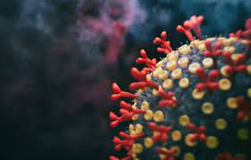 Understanding Covid XBB.1.16: Symptoms of Emerging Arcturus Variant in Adults, Children, and Elderly