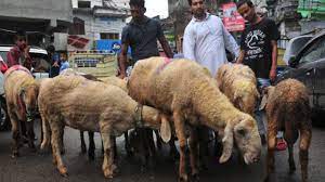 KCCI Reports 50% Decrease in Eid Sales across Kashmir Valley