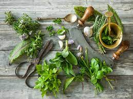 Harness the Power of Ayurvedic Herbs: 5 Essential Dietary Additions to Safeguard Against Monsoon Diseases
