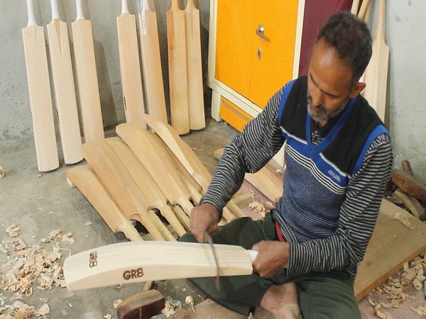Kashmir Willow Bats to be Used by 17 International Cricketers in 2023 ODI World Cup