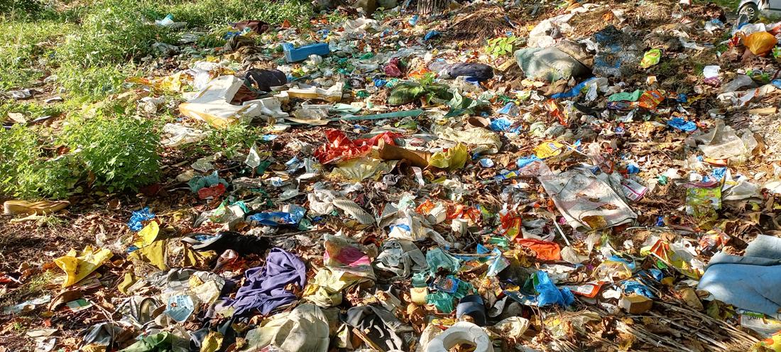 Plastic pollution poses threat to tourism in Kashmir's border areas