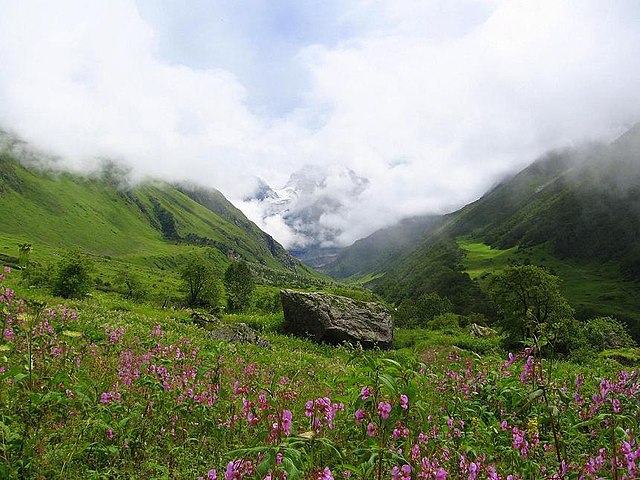 Kashmir Weather Turns Mildly Cold, Bringing Relief from Heat Wave