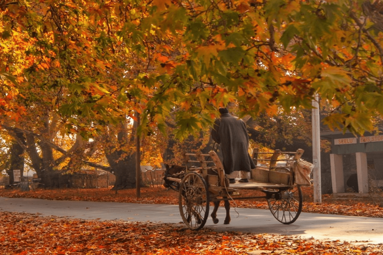Kashmir experiences first major rains of autumn season