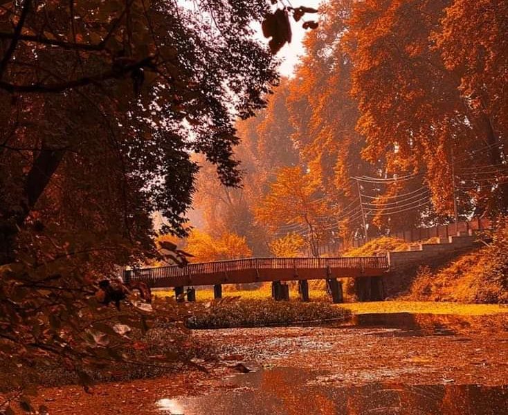 Unlocking the Charms of Autumn in Kashmir - A Season of Spectacular Beauty