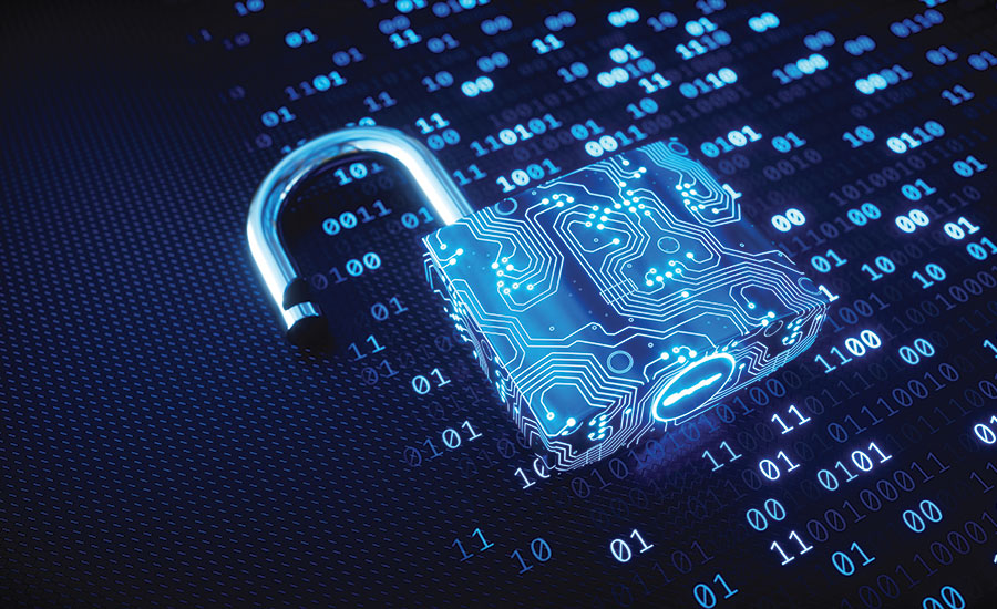Unveiling the Dynamics of Careers in Security and Surveillance - Roles, Skills, and Compensation