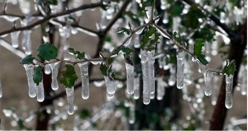 Winter Wonderland Turns Icy Nightmare: Kashmir Valley Shivers Under Record-Breaking Cold Snap