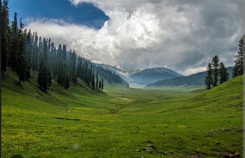 Untamed Beauty Revealed: Lolab Valley Crowned India's Best Offbeat Destination