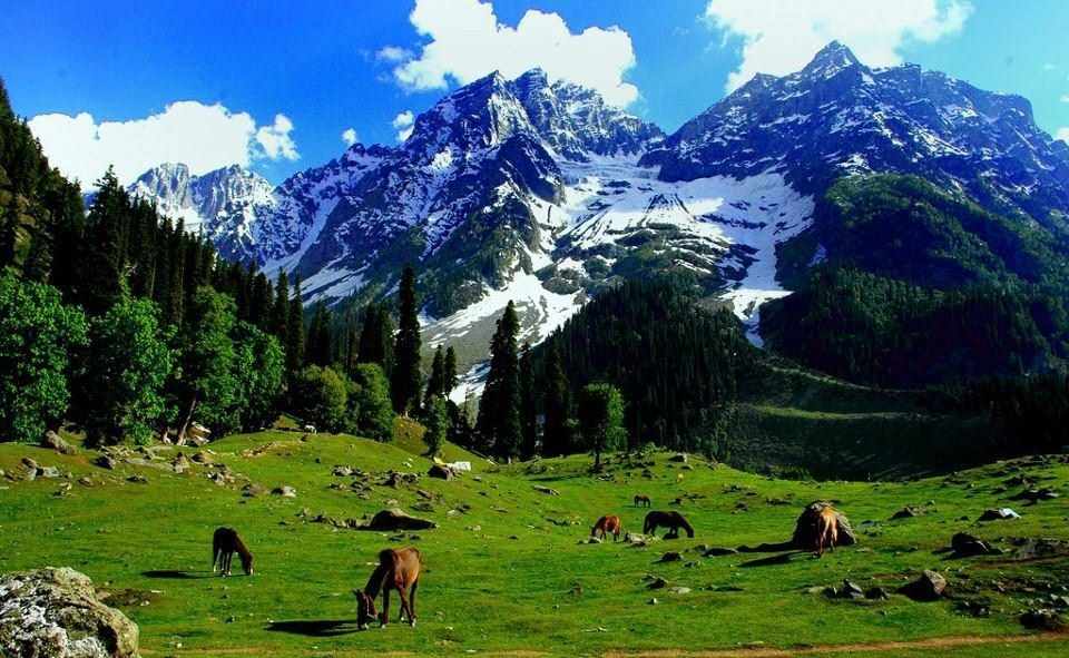 Move Over, Matterhorn! Surpasses Switzerland, Kashmir Claims the Crown as Top Googled Travel Gem in 2023