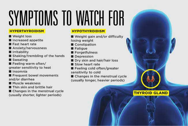 Weight Gain, Feeling Fatigued and Forgetful? 8 Signs Your Thyroid May Be Throwing Your Hormones Off Balance