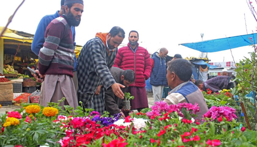 Spring Awakenings: Witness the Rejuvenation of Kashmir During Nauroz