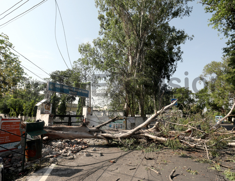 Heavy Rainfall and Windstorms Cause Casualties and Damage in Jammu