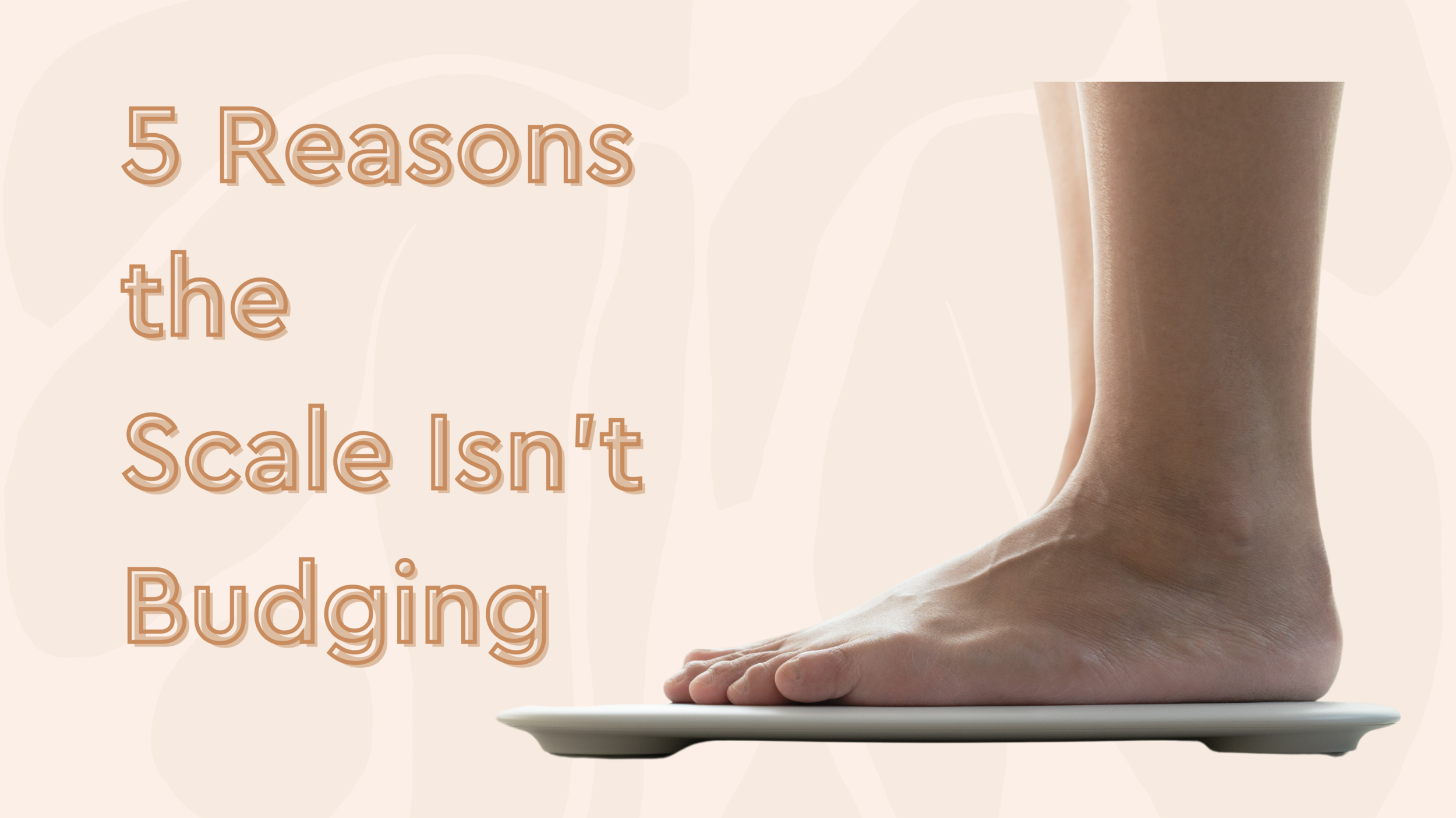 Why the Scale Isn't Budging - Unveiling the Hidden Reasons Behind Weight Gain