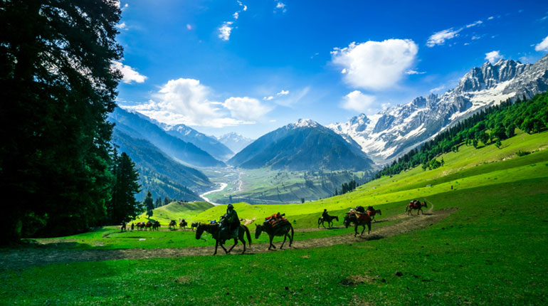 Beyond the Beauty: Unveiling the Ripple Effects of Expensive Flights to Kashmir