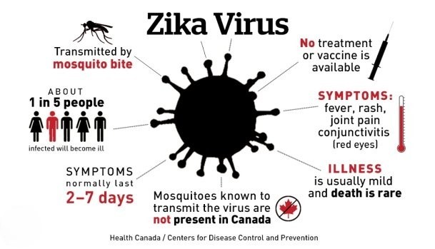 Zika: Beyond the Initial Bite - Unveiling the Virus's Long-Term Health Threats
