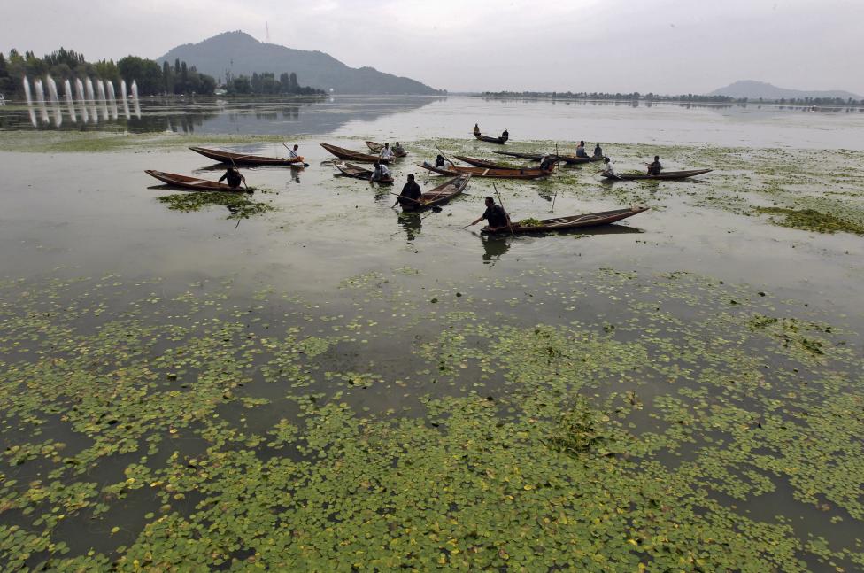 A New Dawn for Dal Lake: NGT Panel to Implement Remedial Measures