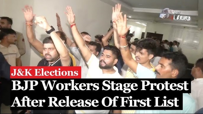 Resignations Shake Up Political Landscape: 2 PDP, 1 BJP DDC Members Step Down Ahead of J&K Polls