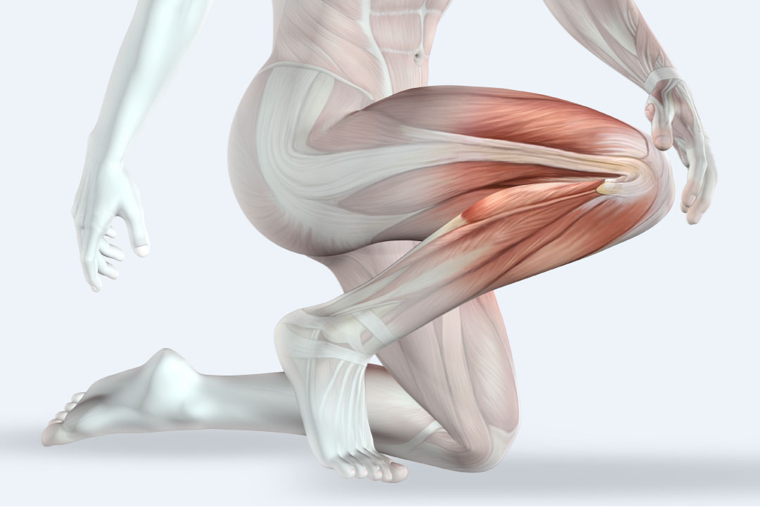 Nurturing Your Joints: A Guide to Healthy, Strong, and Lubricated Joints