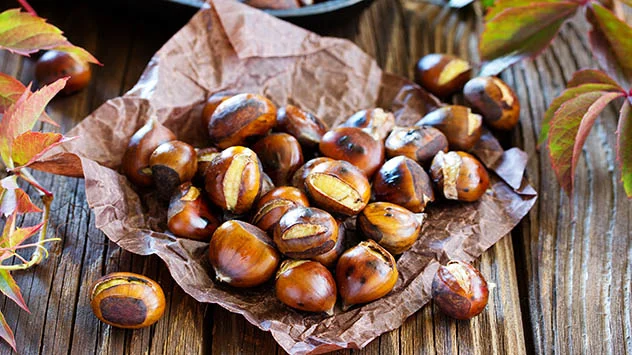 A Taste of Autumn: Savor the Nutritional Delights of Kashmir’s Chestnuts