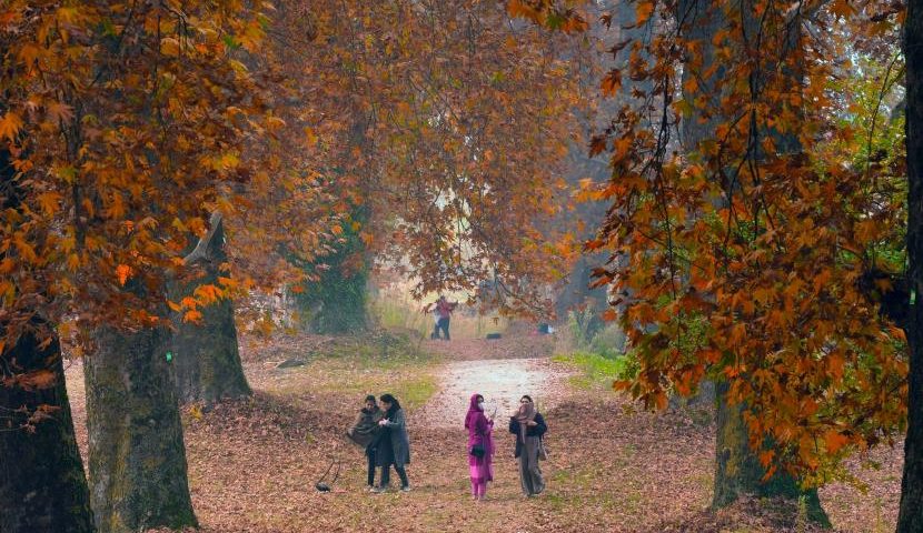 Discover the Splendor of Kashmir in Autumn: Golden Landscapes Await