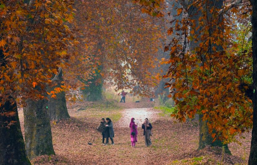 Discover the Splendor of Kashmir in Autumn: Golden Landscapes Await