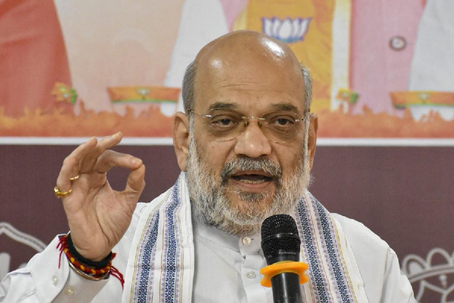 'Article 370 Will Never Be Restored by Rahul Gandhi or His Descendants': Amit Shah
