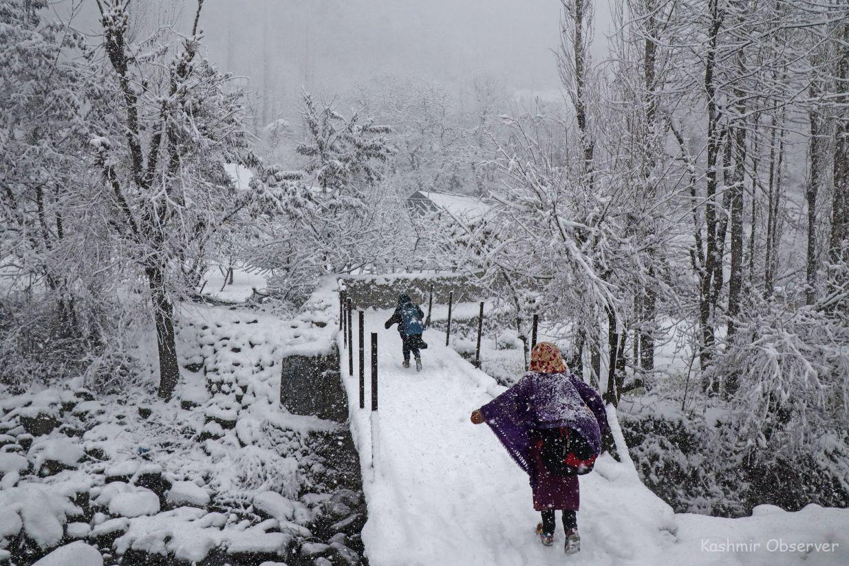 Kashmir Transformed by Season's First Snowfall; Flight Operations Affected