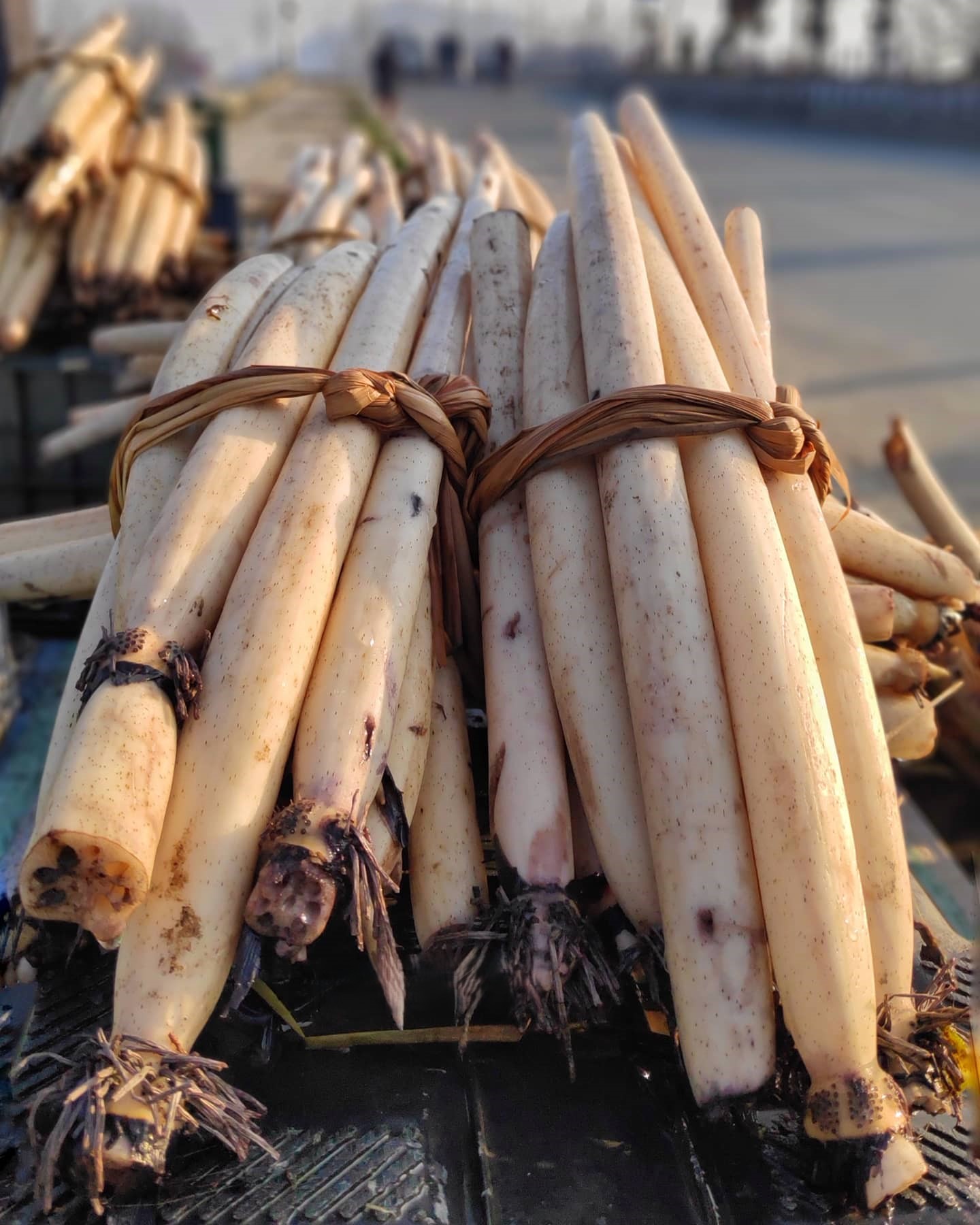 Nadru in Kashmiri Cuisine: A Culinary Treasure from the Lakes